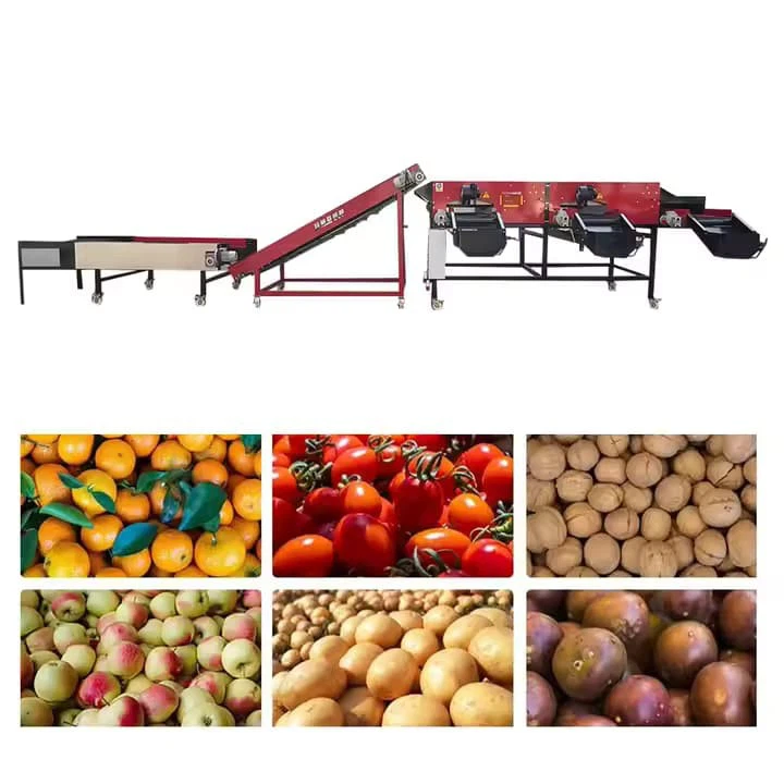 Factory Price Automatic Fruit Vegetable Sorting Apple Potato Tomato Orange Avocado Onion Grading Washing Size Weighing Machine