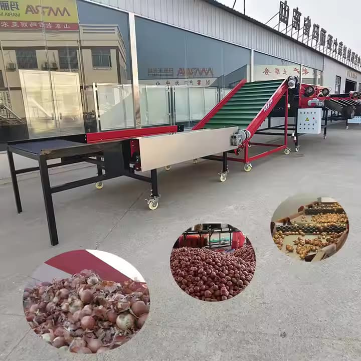 पेशेवर प्याज छँटाई मशीन विश्वसनीय बहुमुखी प्याज छँटाई मशीन