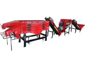 लहसुन टूटा वाल्व