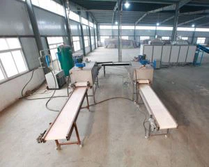 बड़े लहसुन उत्पादन लाइन