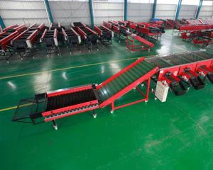 बड़े प्याज छंटाई मशीन