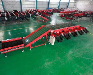 मध्यम लहसुन सॉर्टर